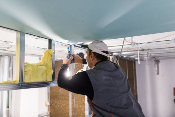 Best Insulation Installation Services in Sylvania, OH