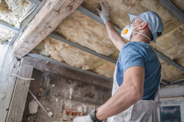 Best Energy Efficiency Solutions in Sylvania, OH