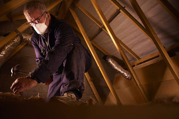 Best Insulation Installation Services in Sylvania, OH